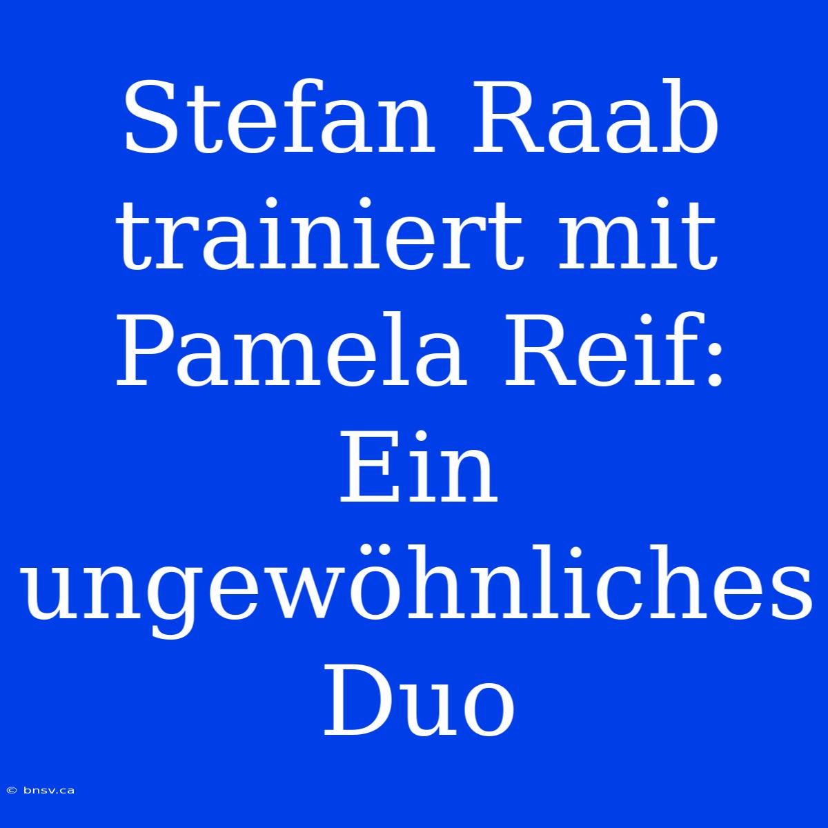 Stefan Raab Trainiert Mit Pamela Reif: Ein Ungewöhnliches Duo