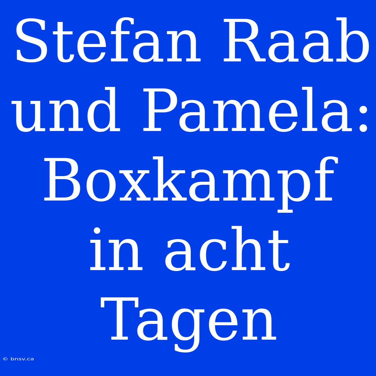 Stefan Raab Und Pamela: Boxkampf In Acht Tagen