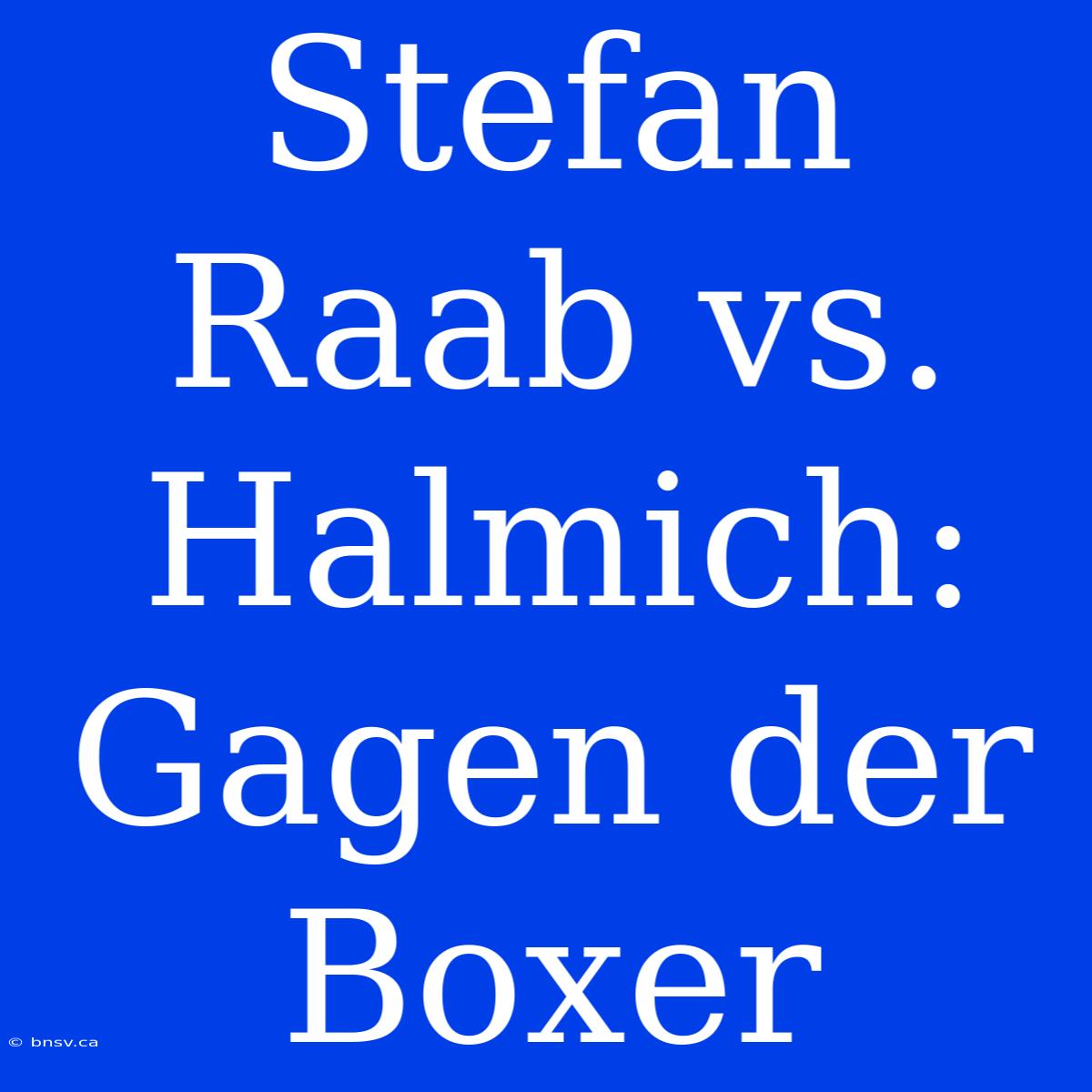 Stefan Raab Vs. Halmich: Gagen Der Boxer