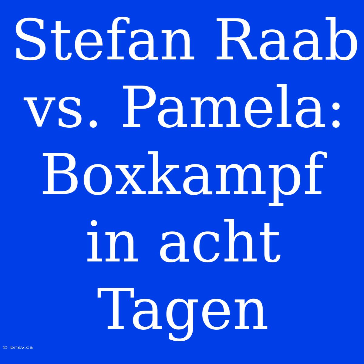 Stefan Raab Vs. Pamela: Boxkampf In Acht Tagen