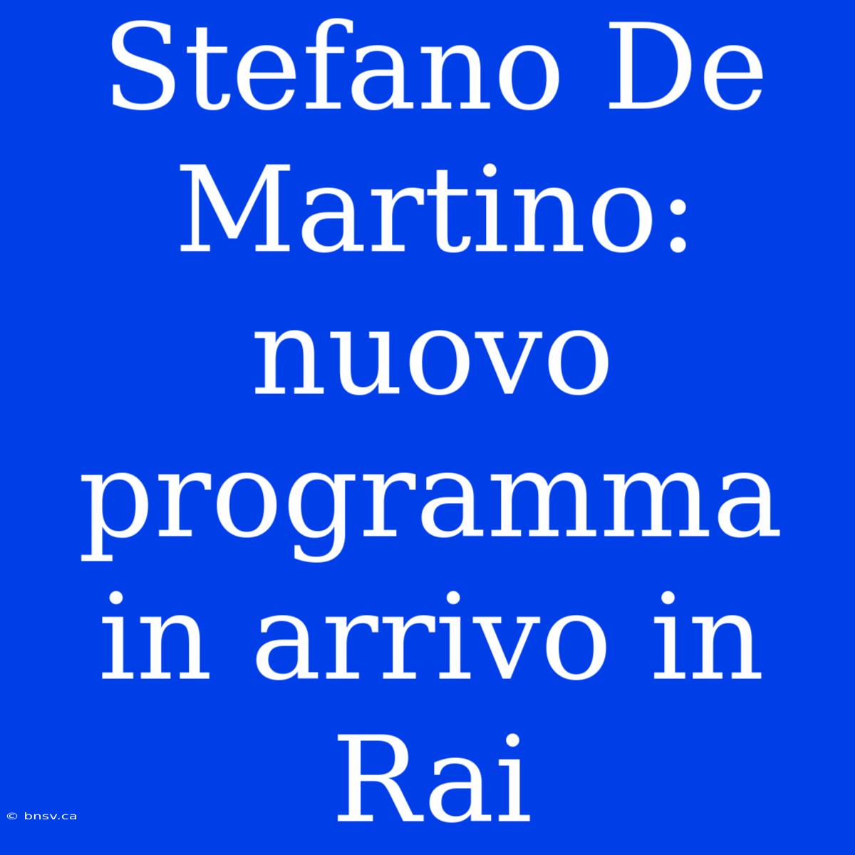 Stefano De Martino: Nuovo Programma In Arrivo In Rai