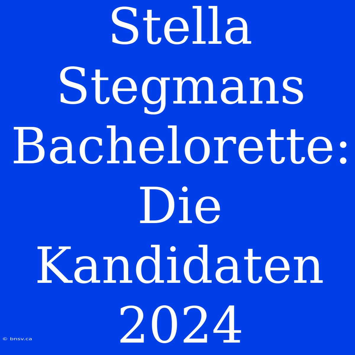 Stella Stegmans Bachelorette: Die Kandidaten 2024