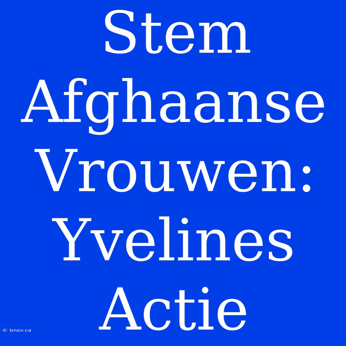 Stem Afghaanse Vrouwen: Yvelines Actie