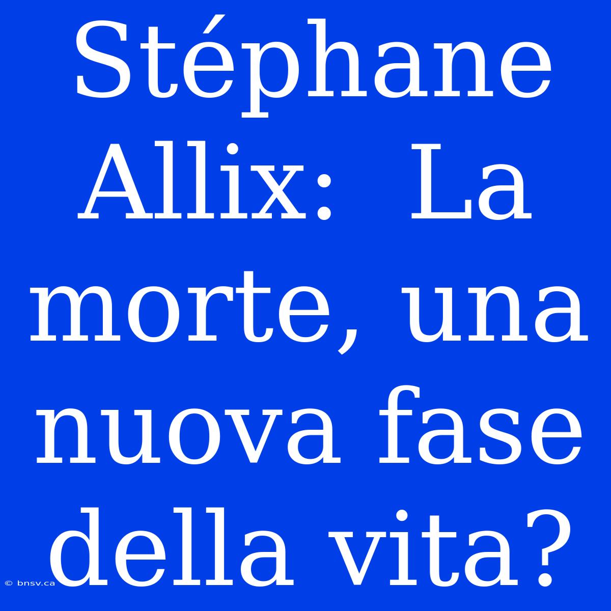 Stéphane Allix:  La Morte, Una Nuova Fase Della Vita?