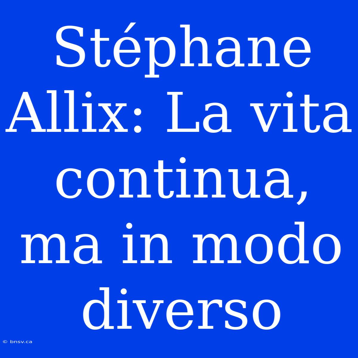 Stéphane Allix: La Vita Continua, Ma In Modo Diverso