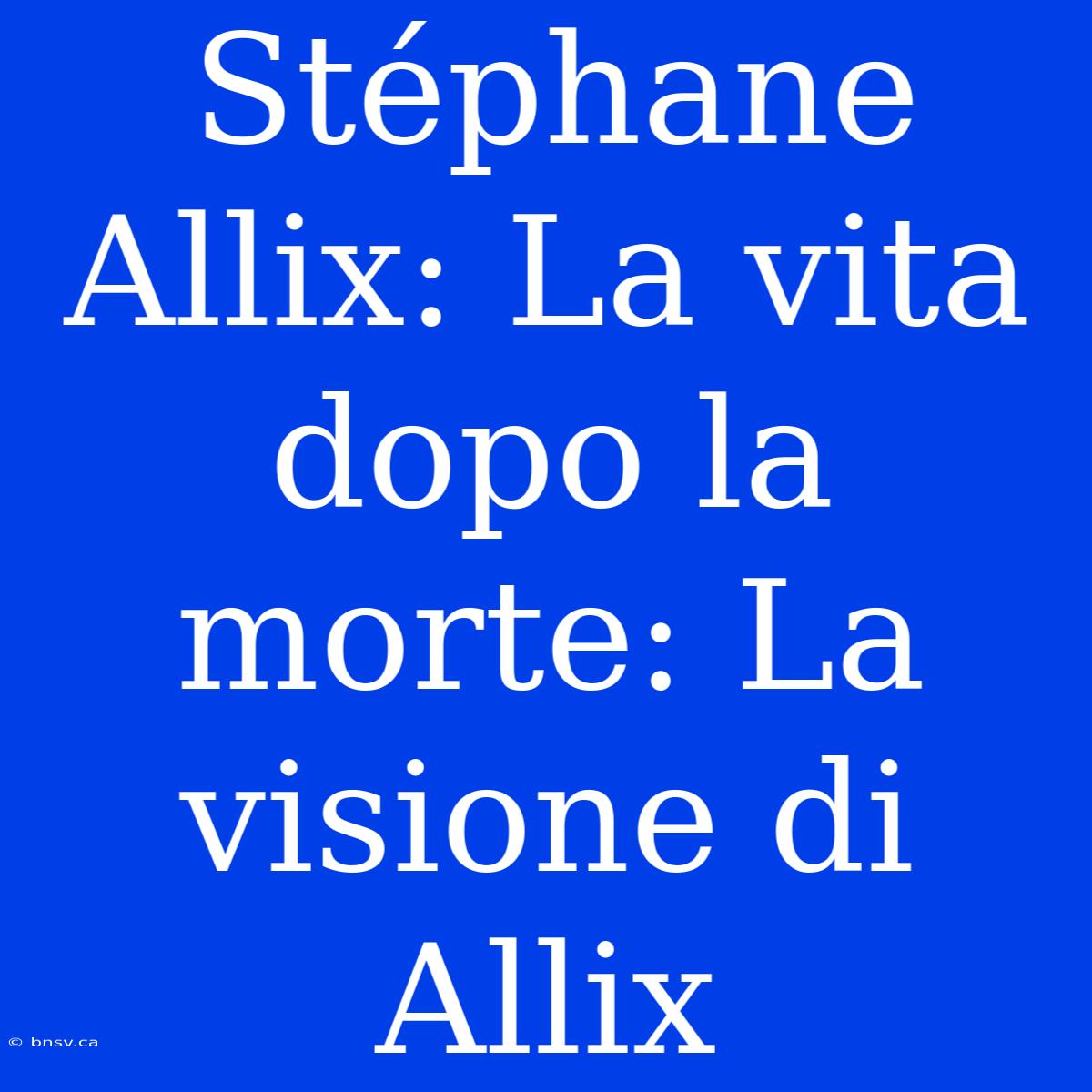 Stéphane Allix: La Vita Dopo La Morte: La Visione Di Allix