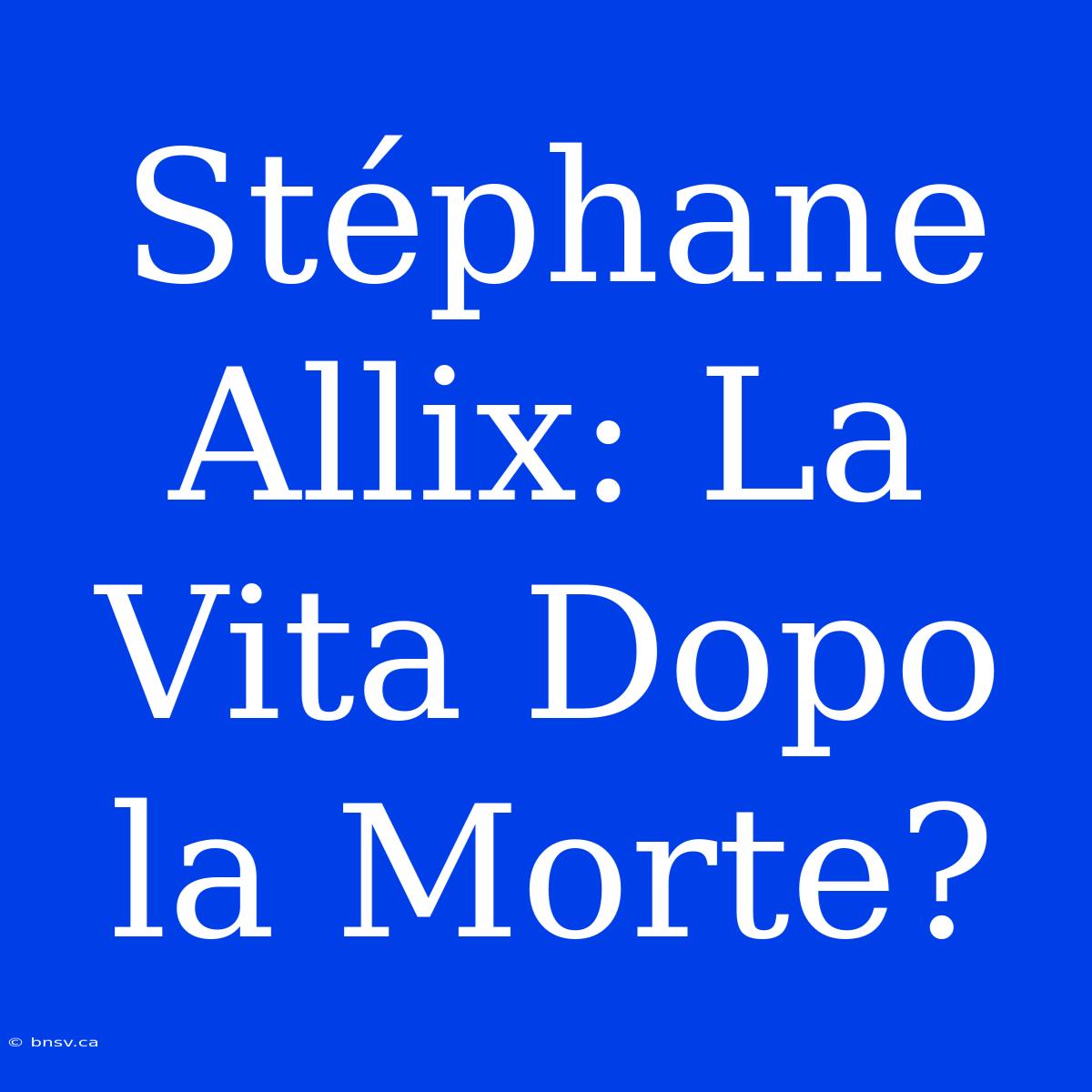 Stéphane Allix: La Vita Dopo La Morte?