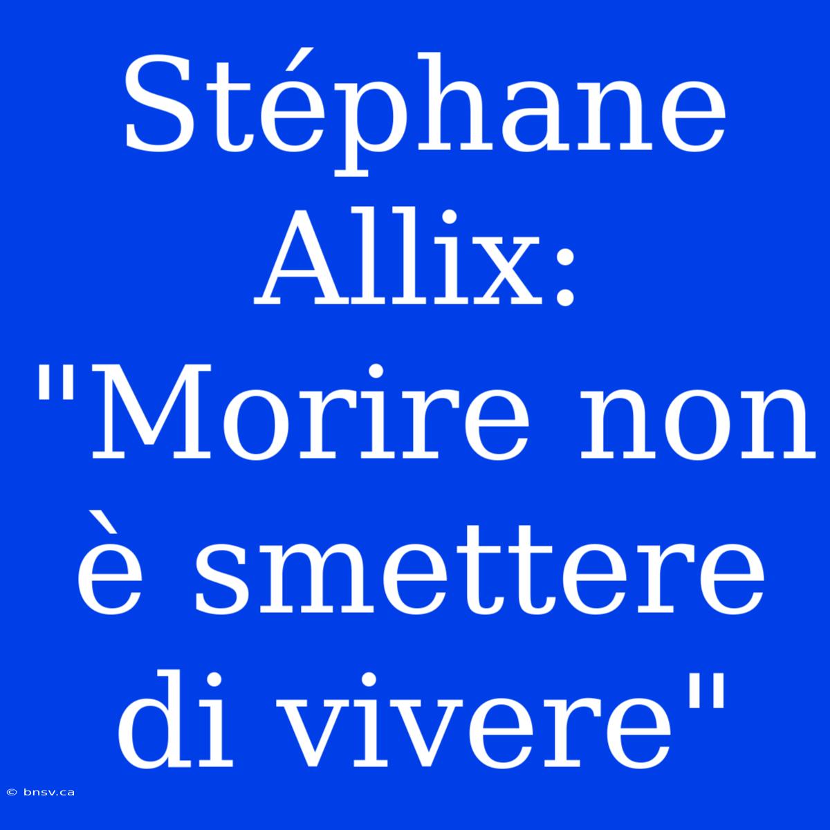 Stéphane Allix: 