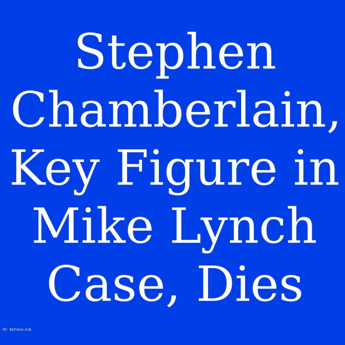 Stephen Chamberlain, Key Figure In Mike Lynch Case, Dies