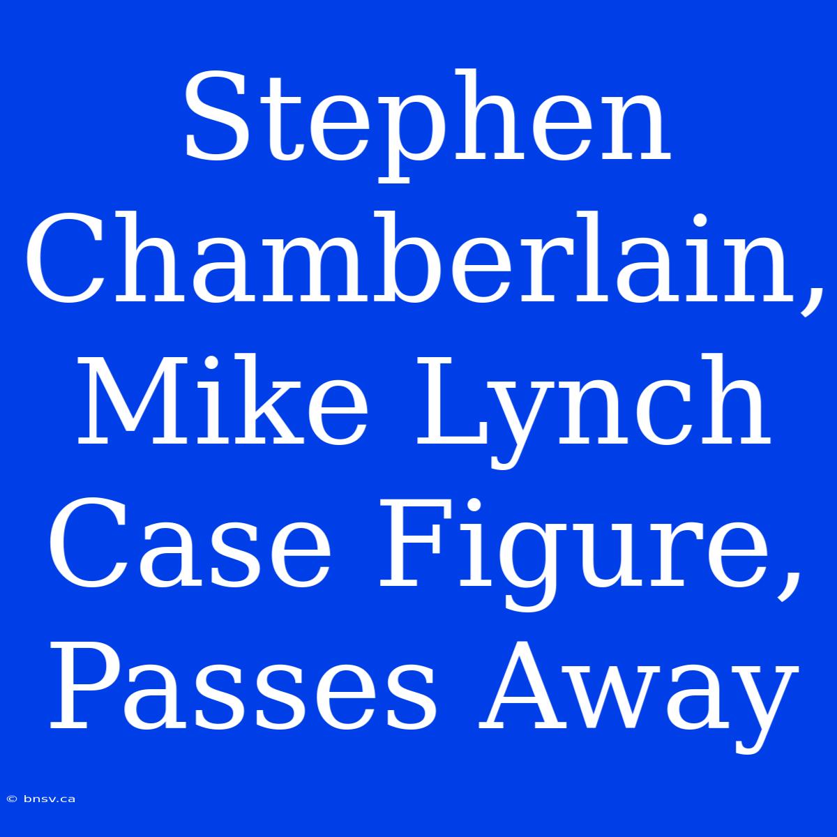 Stephen Chamberlain, Mike Lynch Case Figure, Passes Away