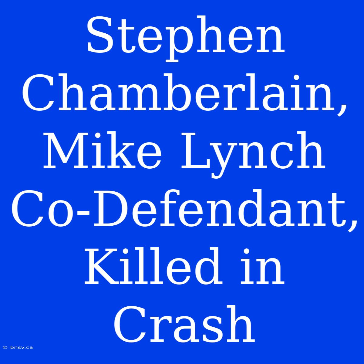 Stephen Chamberlain, Mike Lynch Co-Defendant, Killed In Crash