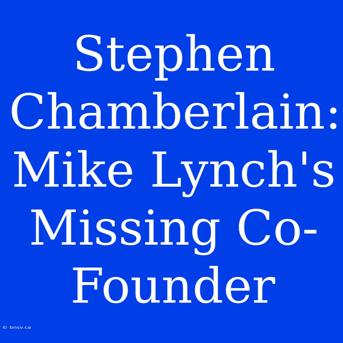 Stephen Chamberlain: Mike Lynch's Missing Co-Founder