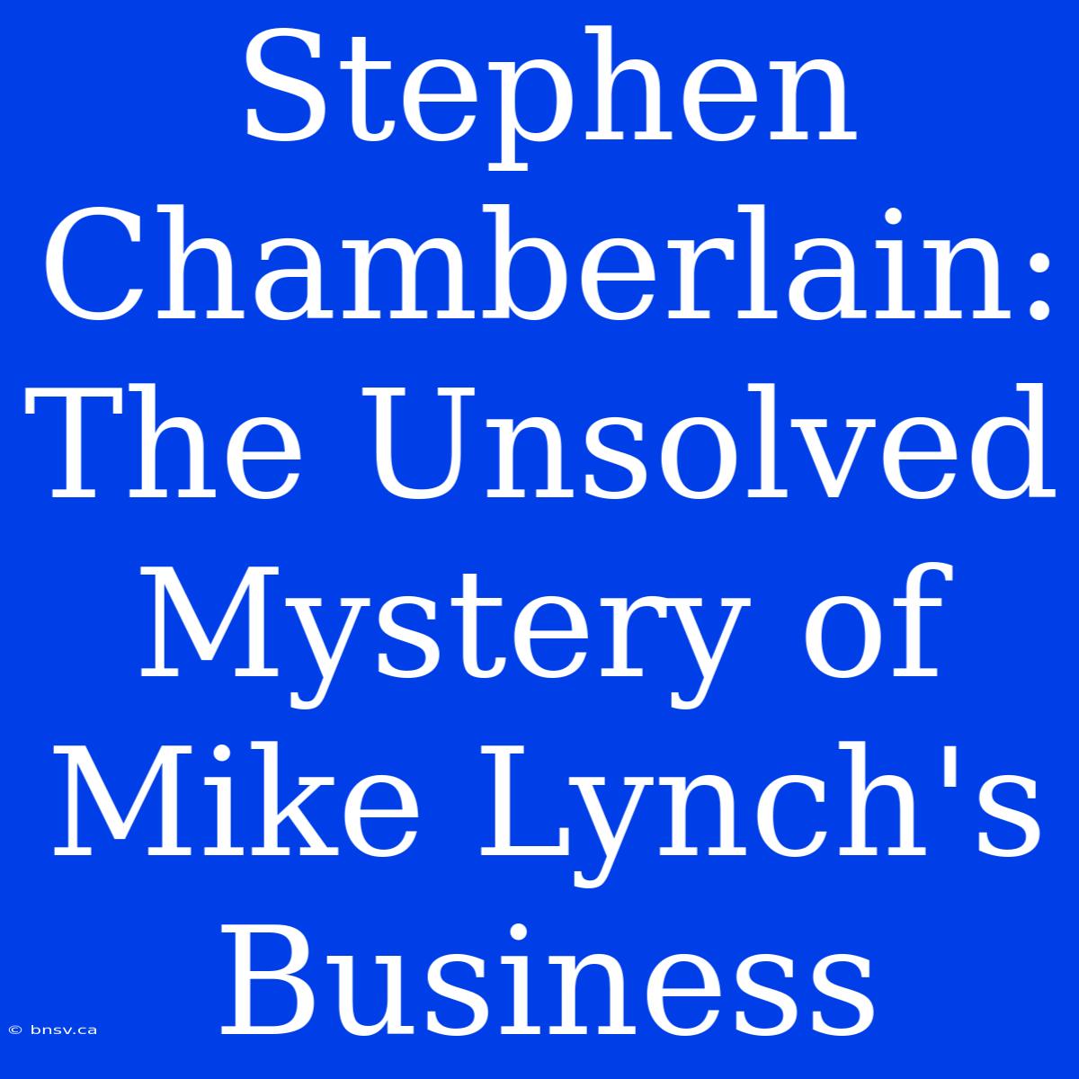 Stephen Chamberlain: The Unsolved Mystery Of Mike Lynch's Business