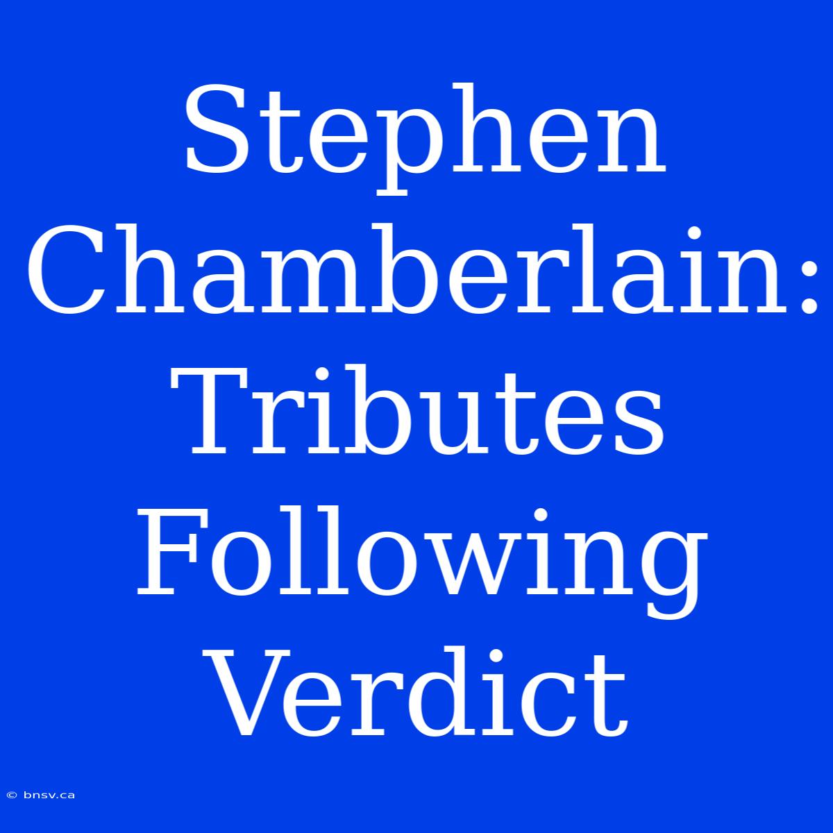 Stephen Chamberlain: Tributes Following Verdict