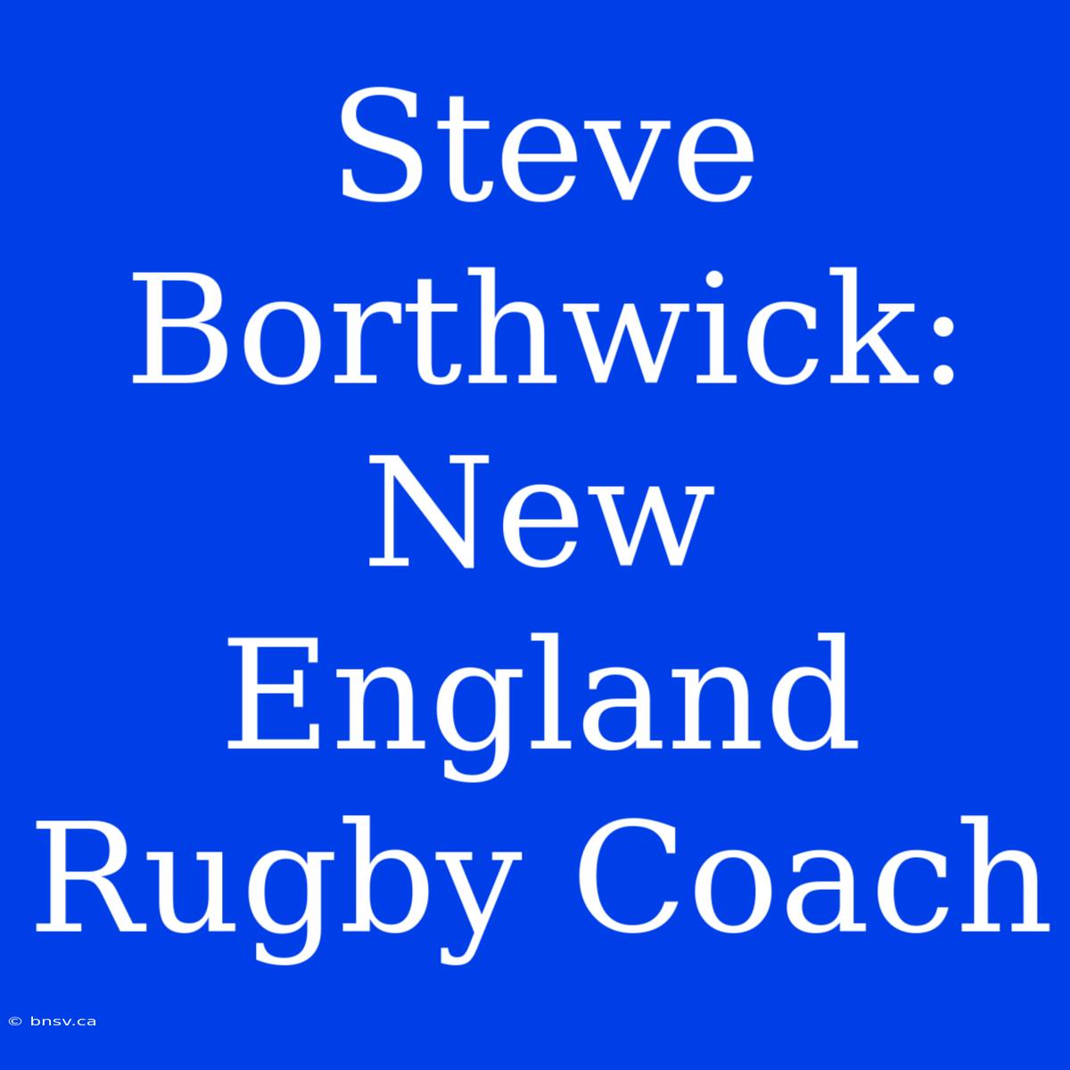 Steve Borthwick: New England Rugby Coach