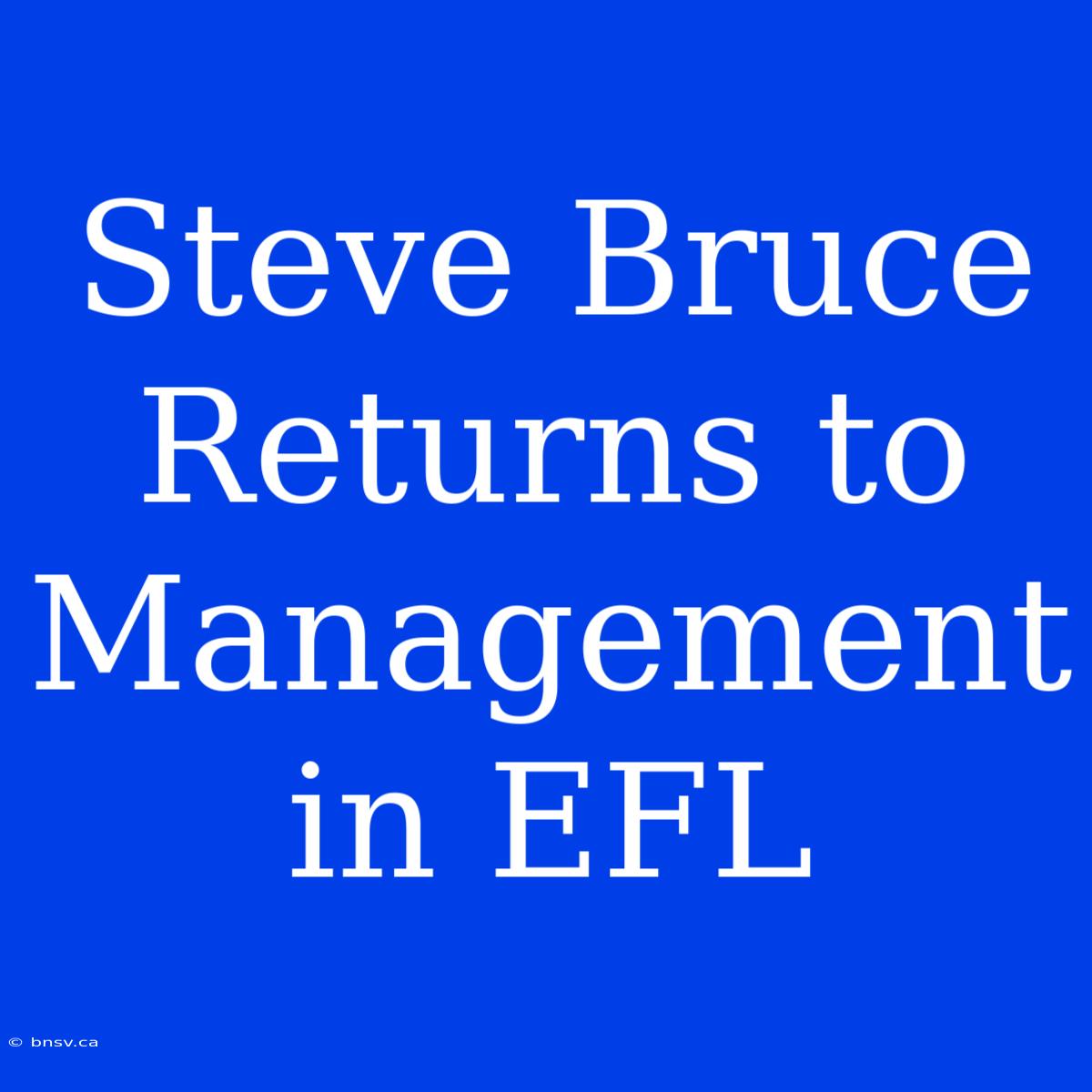 Steve Bruce Returns To Management In EFL