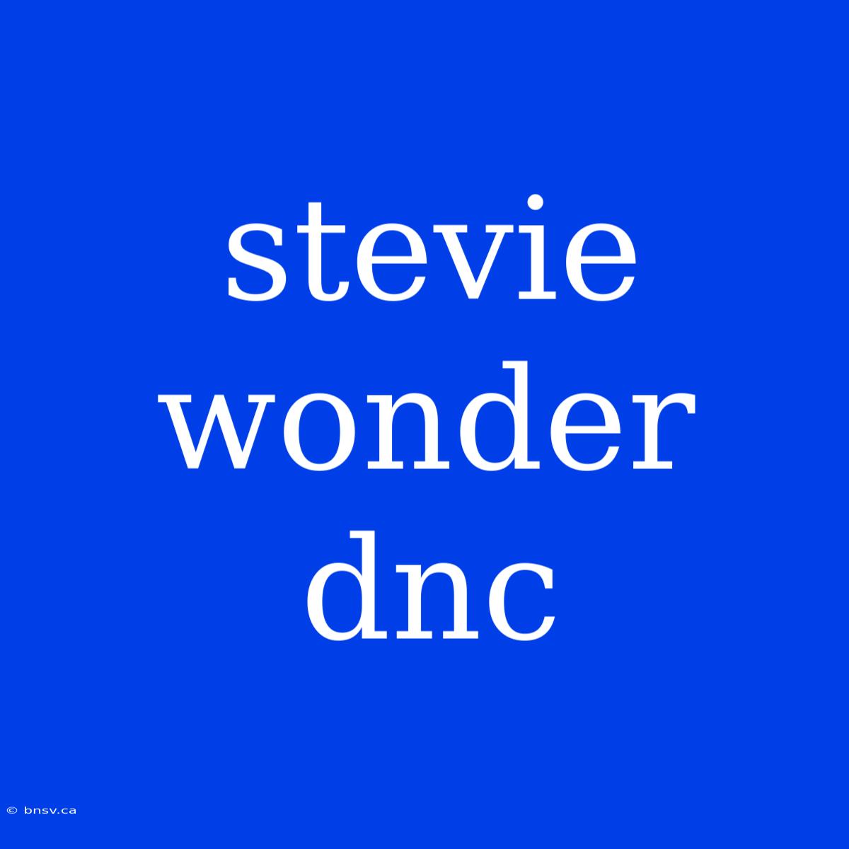 Stevie Wonder Dnc