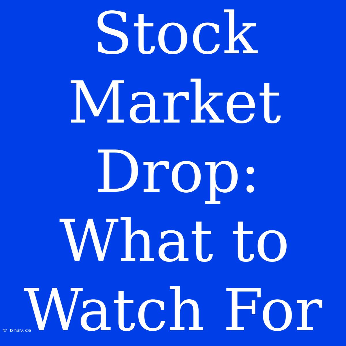 Stock Market Drop: What To Watch For