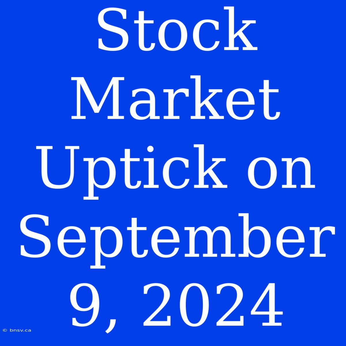 Stock Market Uptick On September 9, 2024