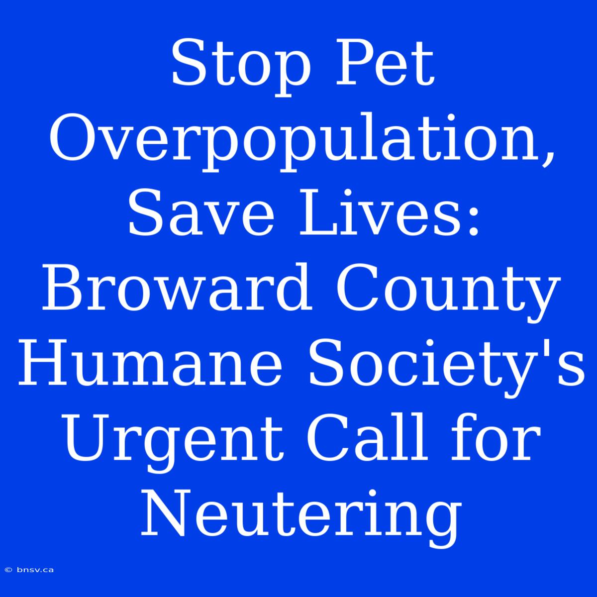 Stop Pet Overpopulation, Save Lives: Broward County Humane Society's Urgent Call For Neutering