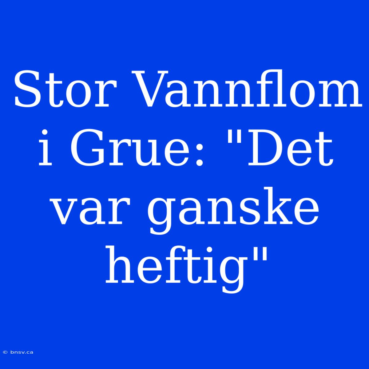 Stor Vannflom I Grue: 