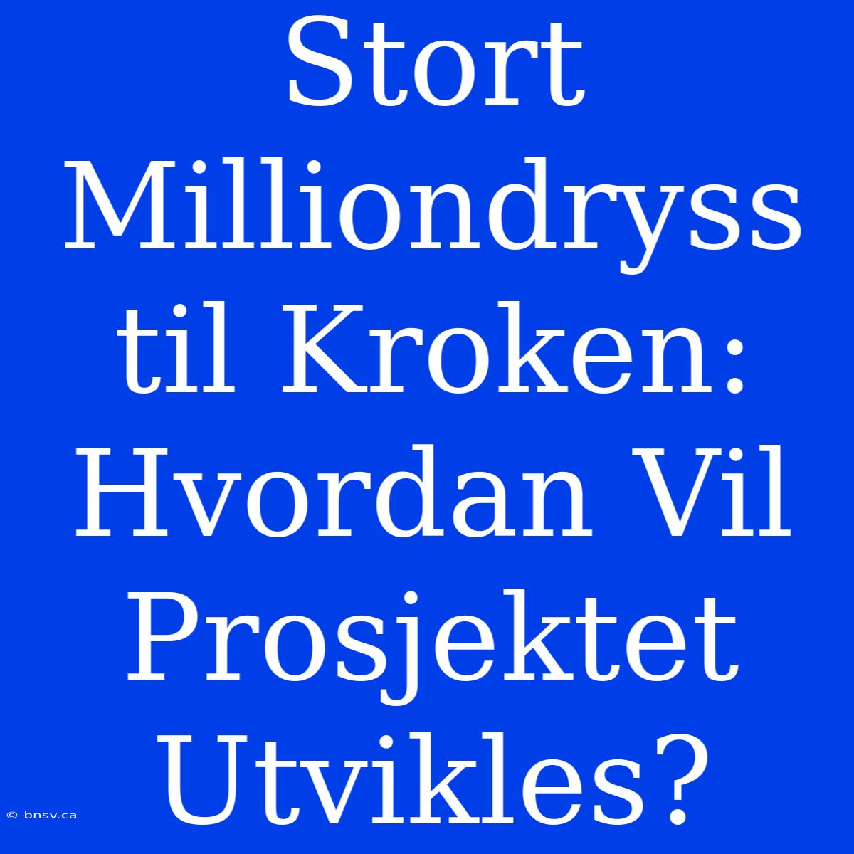 Stort Milliondryss Til Kroken: Hvordan Vil Prosjektet Utvikles?