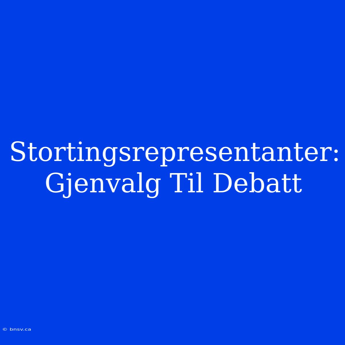 Stortingsrepresentanter: Gjenvalg Til Debatt