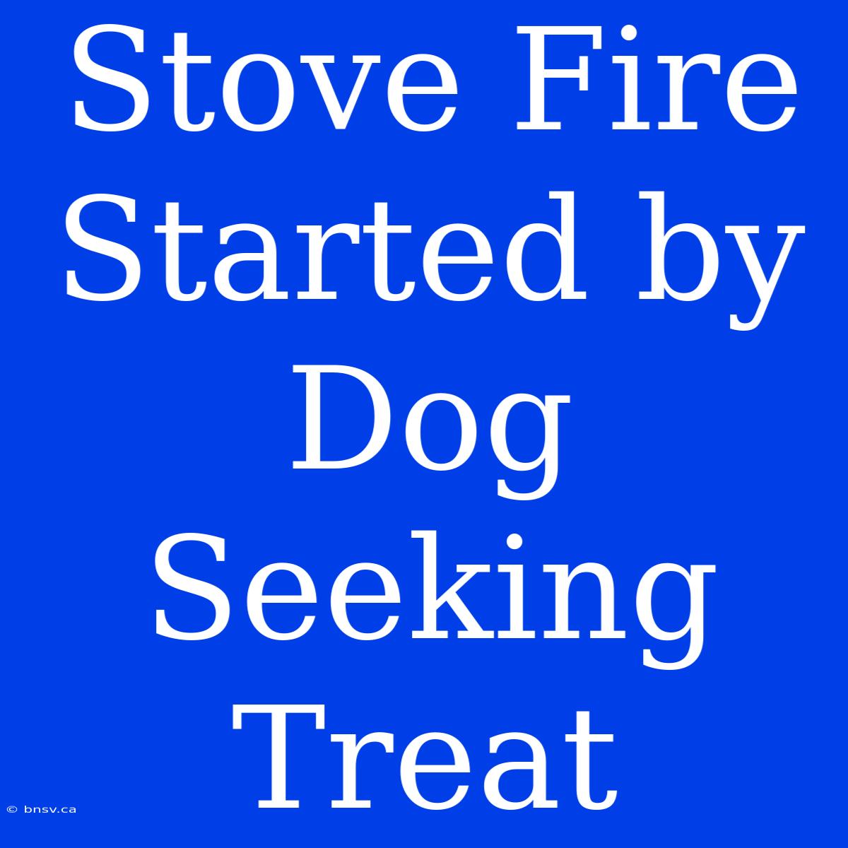 Stove Fire Started By Dog Seeking Treat