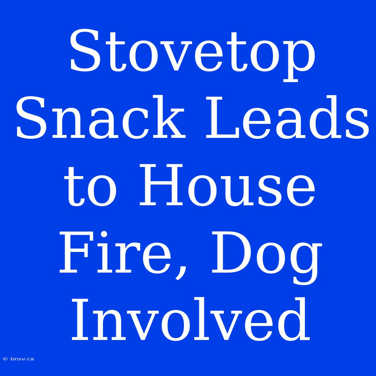 Stovetop Snack Leads To House Fire, Dog Involved