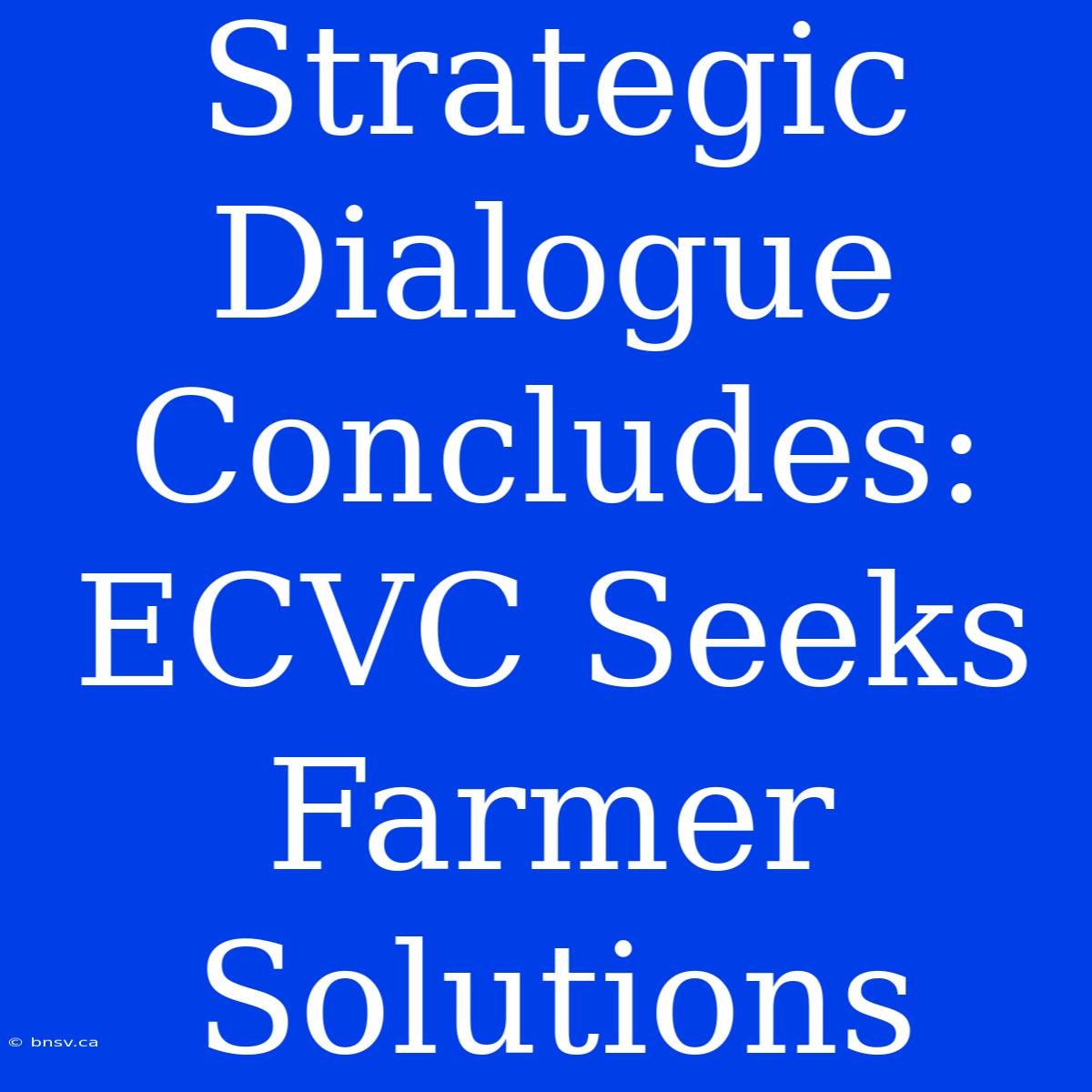 Strategic Dialogue Concludes: ECVC Seeks Farmer Solutions