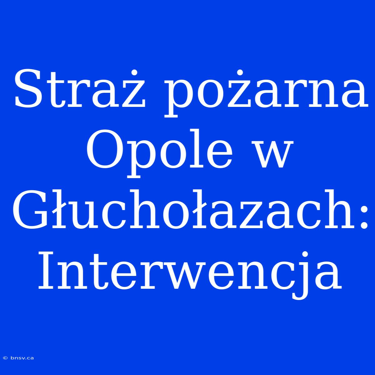 Straż Pożarna Opole W Głuchołazach: Interwencja