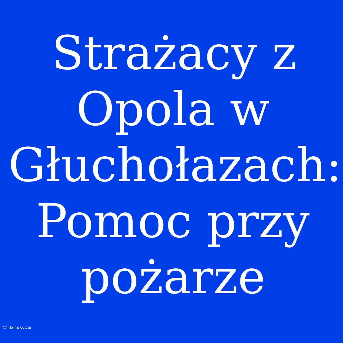 Strażacy Z Opola W Głuchołazach: Pomoc Przy Pożarze