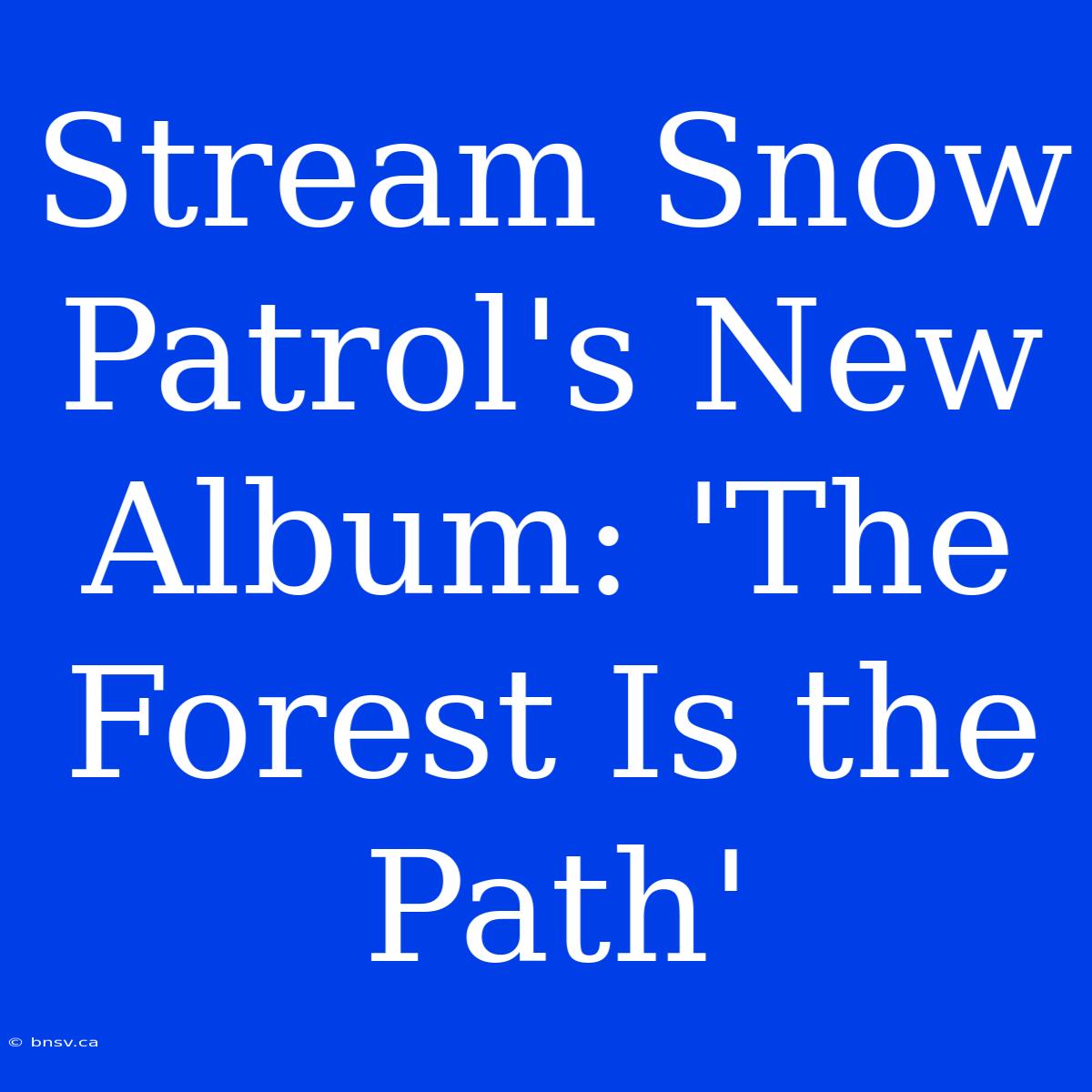 Stream Snow Patrol's New Album: 'The Forest Is The Path'