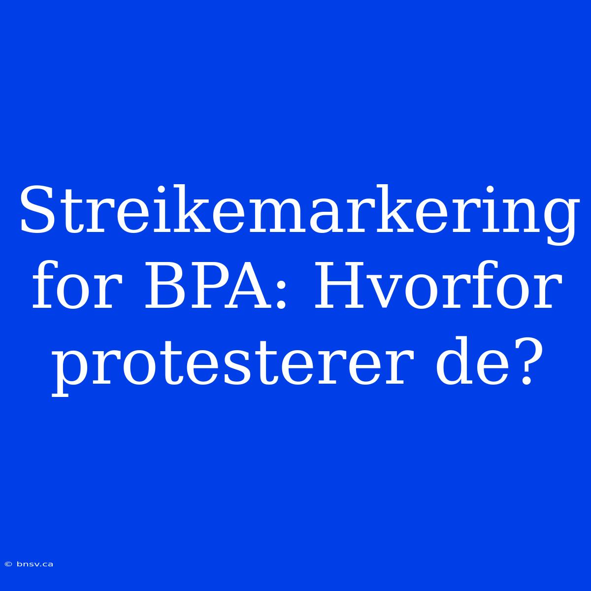 Streikemarkering For BPA: Hvorfor Protesterer De?