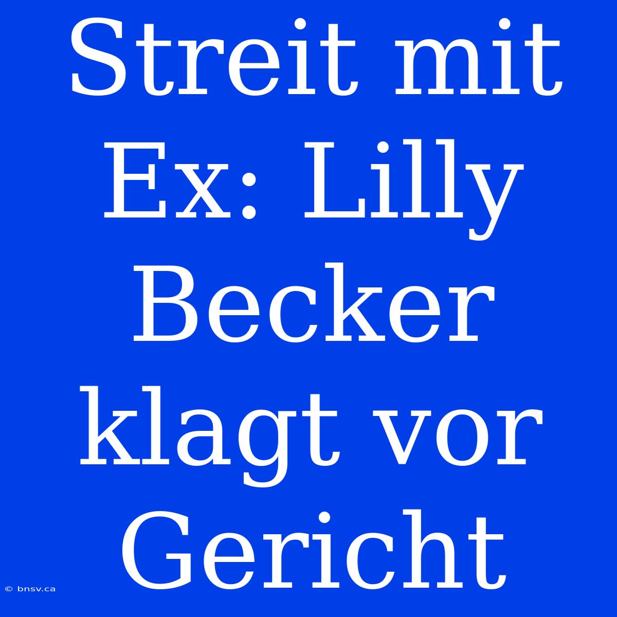 Streit Mit Ex: Lilly Becker Klagt Vor Gericht