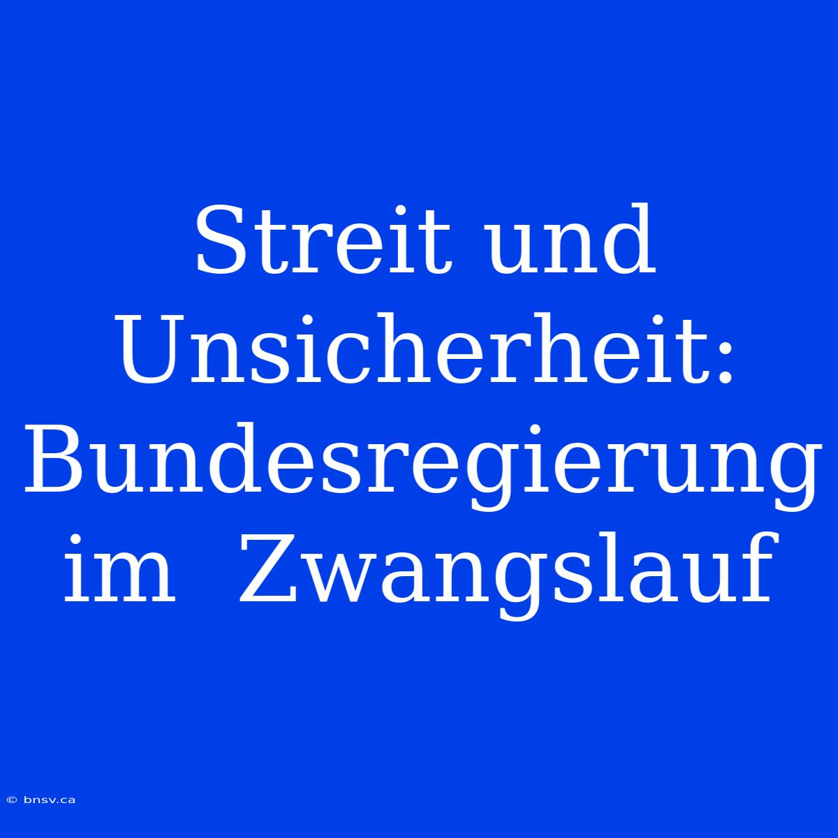 Streit Und Unsicherheit: Bundesregierung Im  Zwangslauf