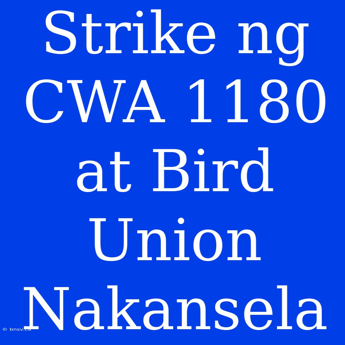 Strike Ng CWA 1180 At Bird Union Nakansela