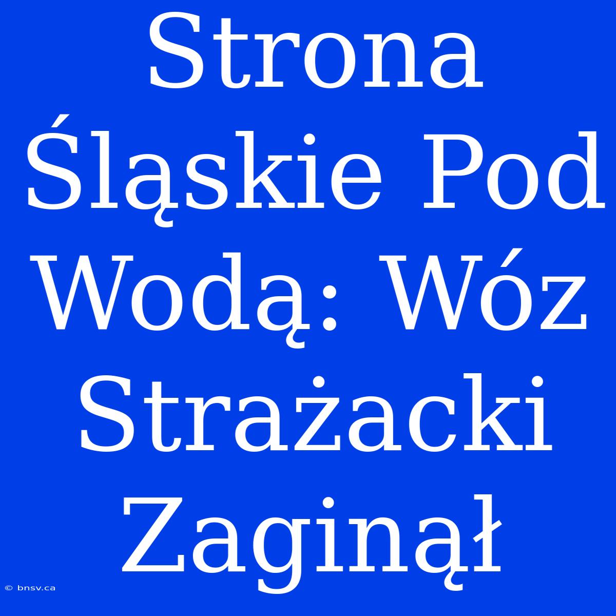 Strona Śląskie Pod Wodą: Wóz Strażacki Zaginął