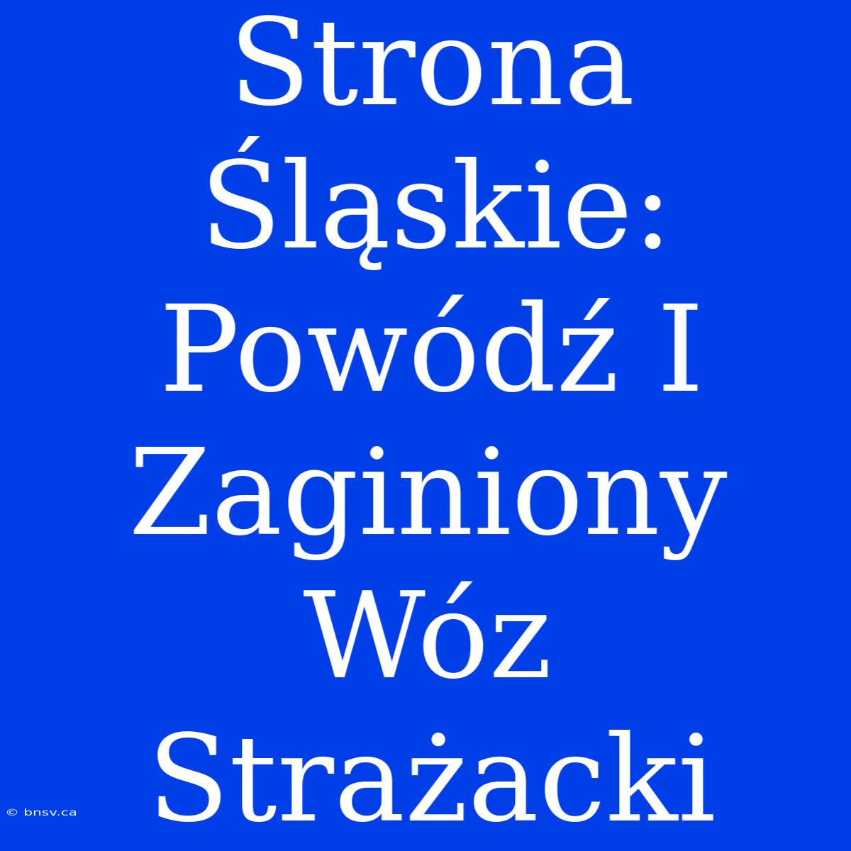 Strona Śląskie: Powódź I Zaginiony Wóz Strażacki