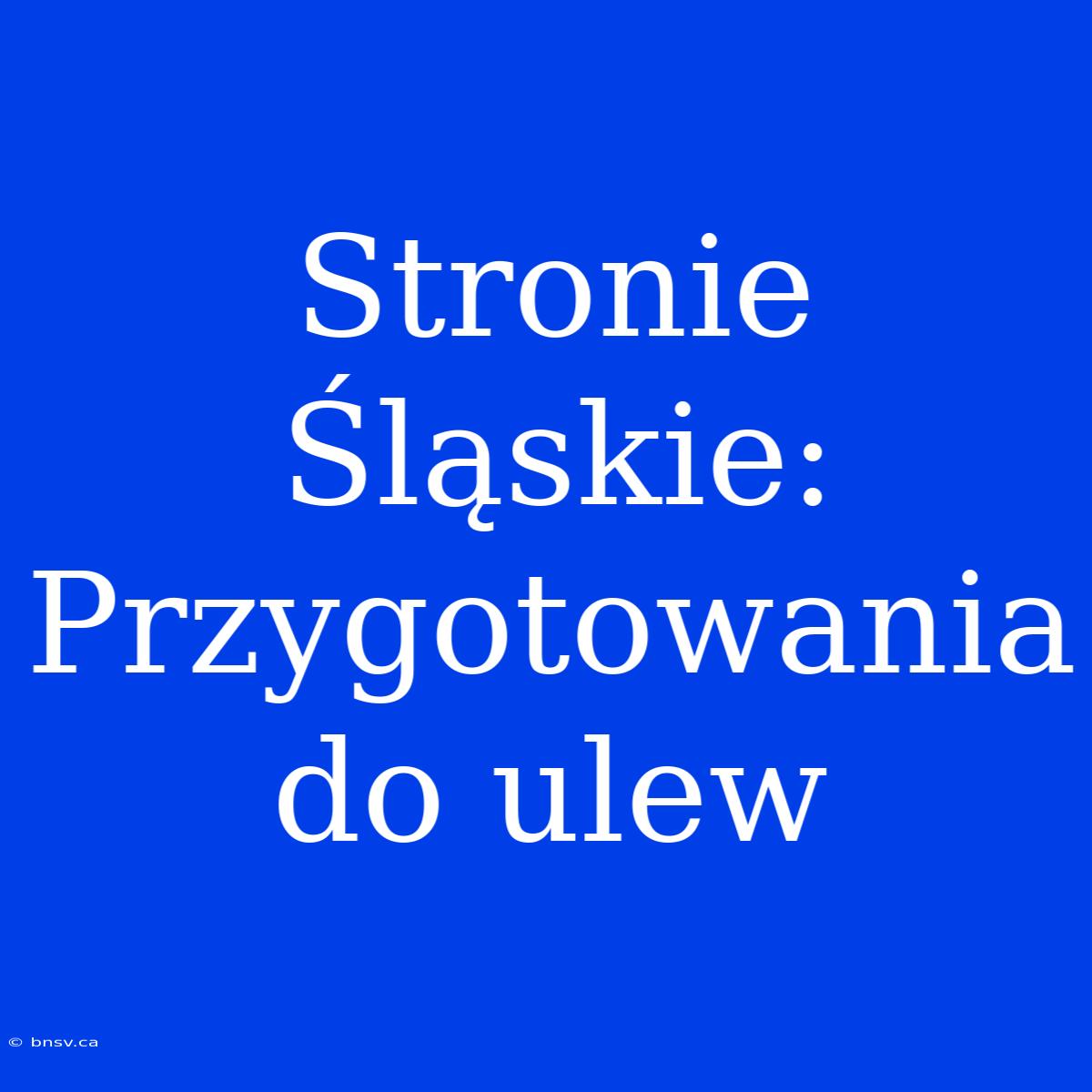 Stronie Śląskie: Przygotowania Do Ulew