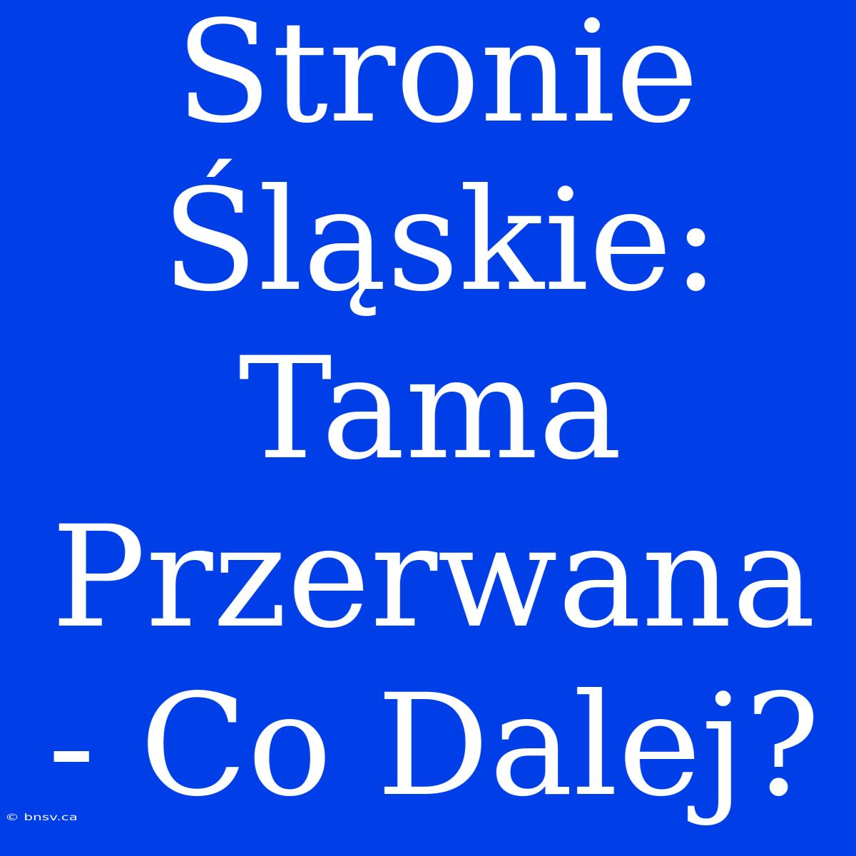 Stronie Śląskie: Tama Przerwana - Co Dalej?