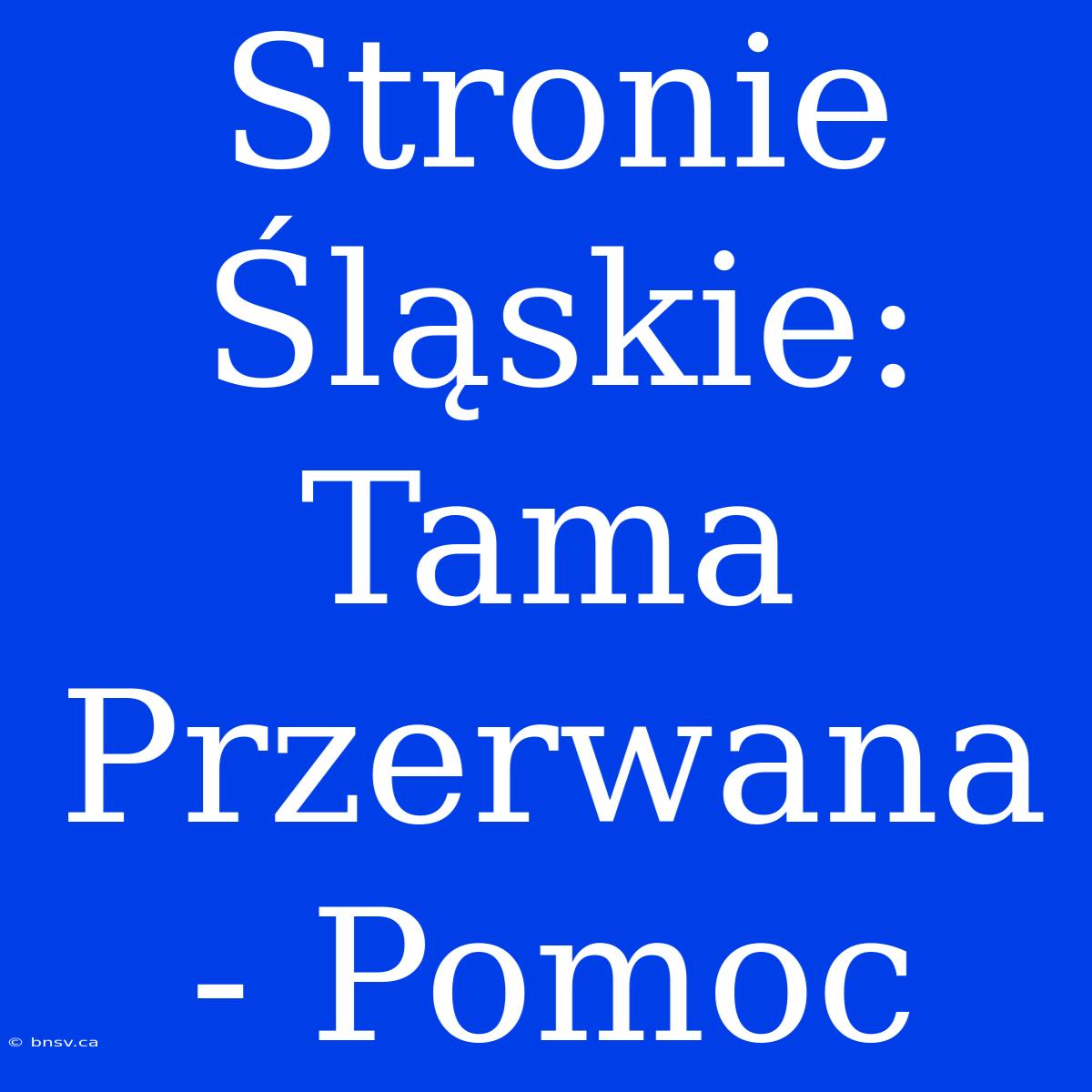 Stronie Śląskie: Tama Przerwana - Pomoc