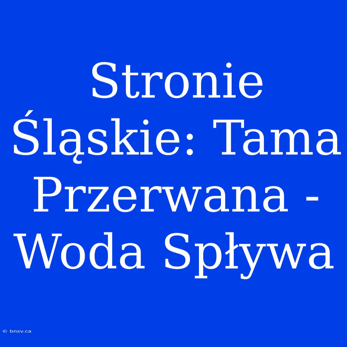 Stronie Śląskie: Tama Przerwana - Woda Spływa