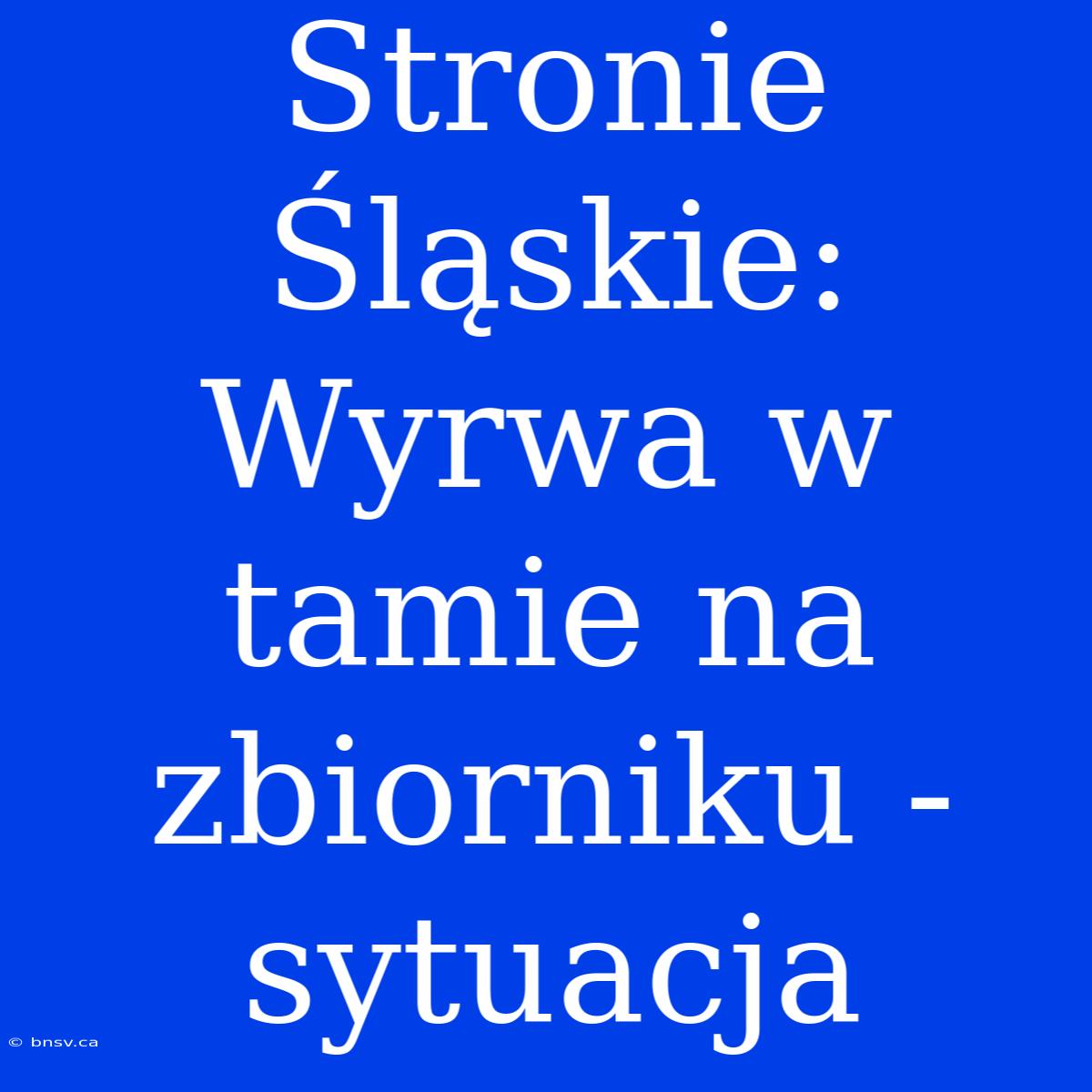 Stronie Śląskie: Wyrwa W Tamie Na Zbiorniku - Sytuacja