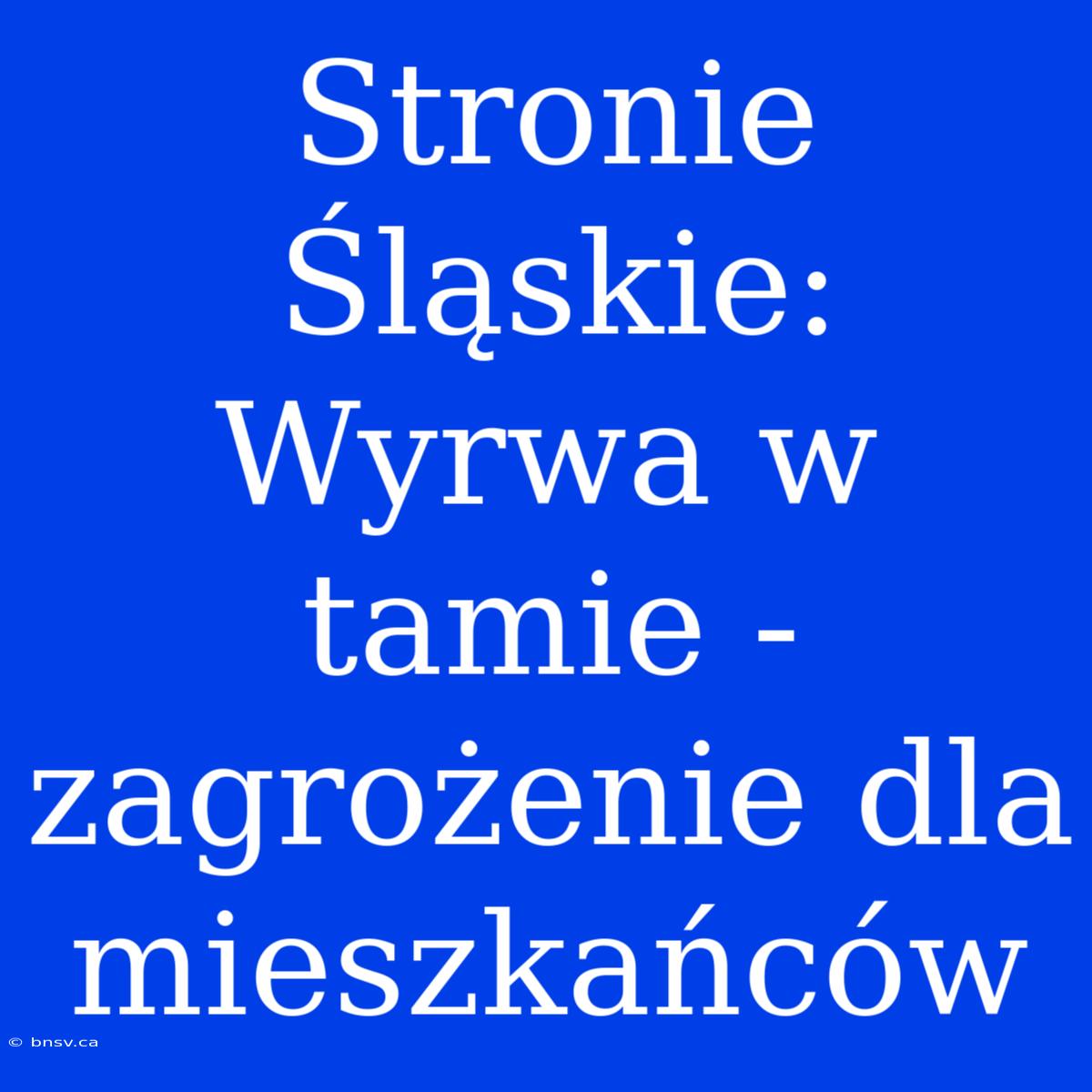 Stronie Śląskie: Wyrwa W Tamie - Zagrożenie Dla Mieszkańców