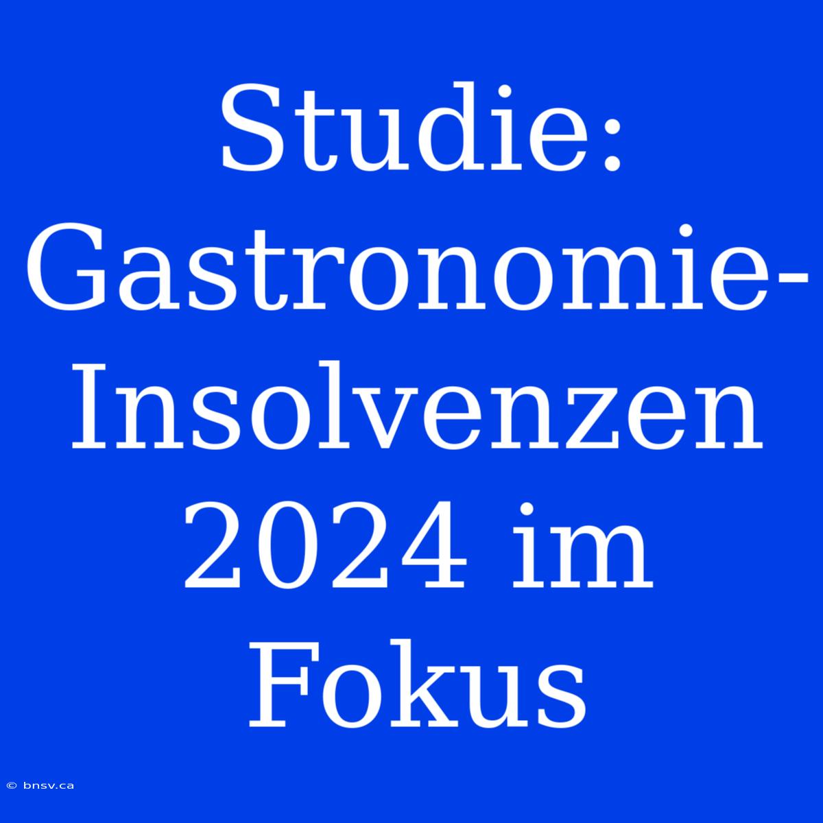 Studie: Gastronomie-Insolvenzen 2024 Im Fokus