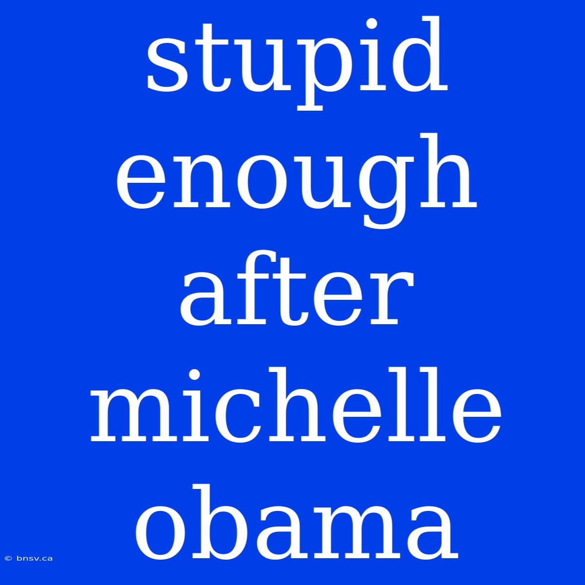 Stupid Enough After Michelle Obama