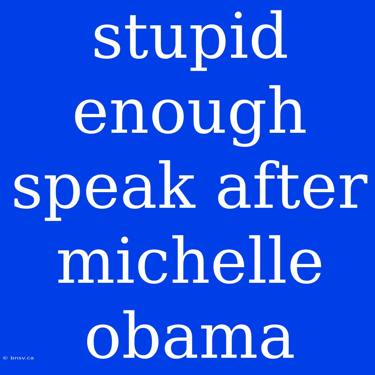 Stupid Enough Speak After Michelle Obama