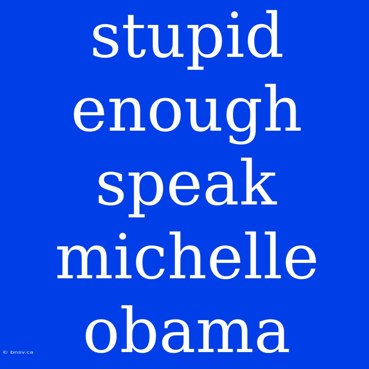 Stupid Enough Speak Michelle Obama