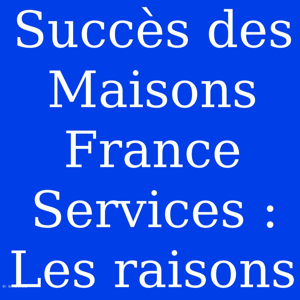 Succès Des Maisons France Services : Les Raisons